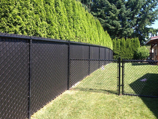 Chain link